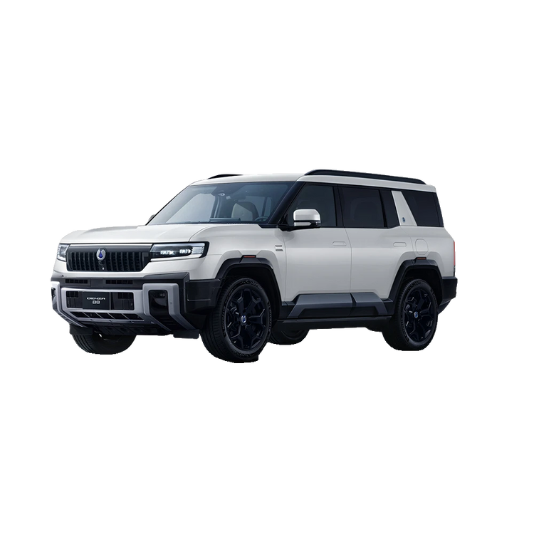 Denza B8